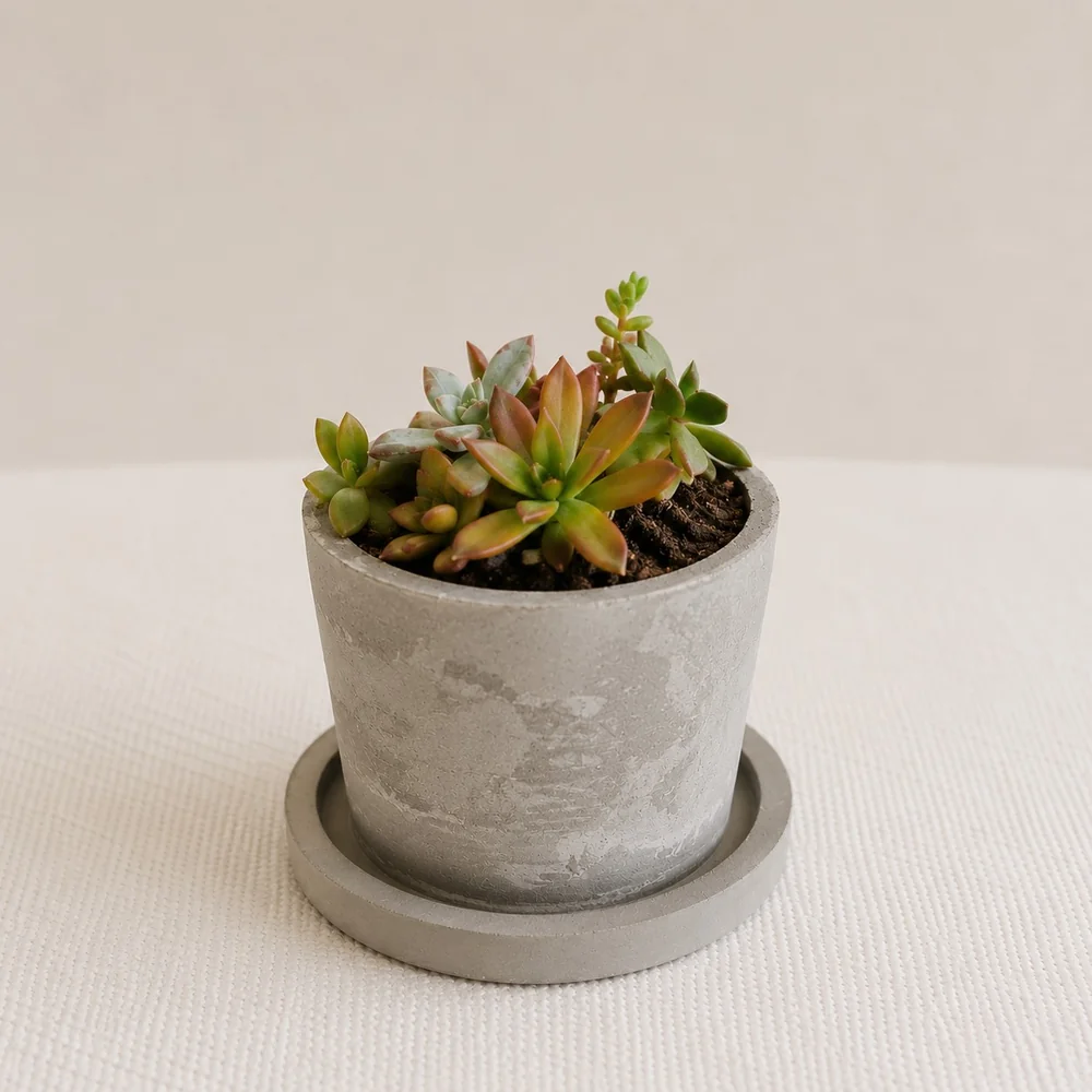 Custom ash-infused planter