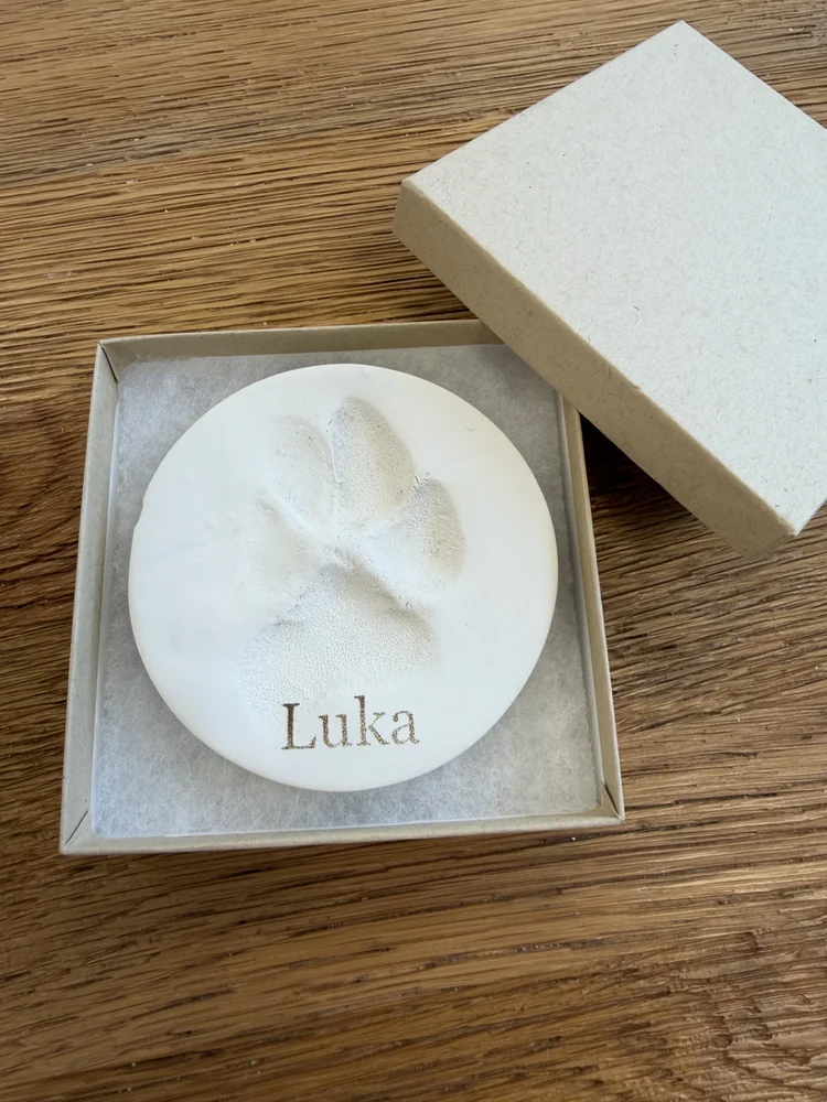 Clay paw print keepsake