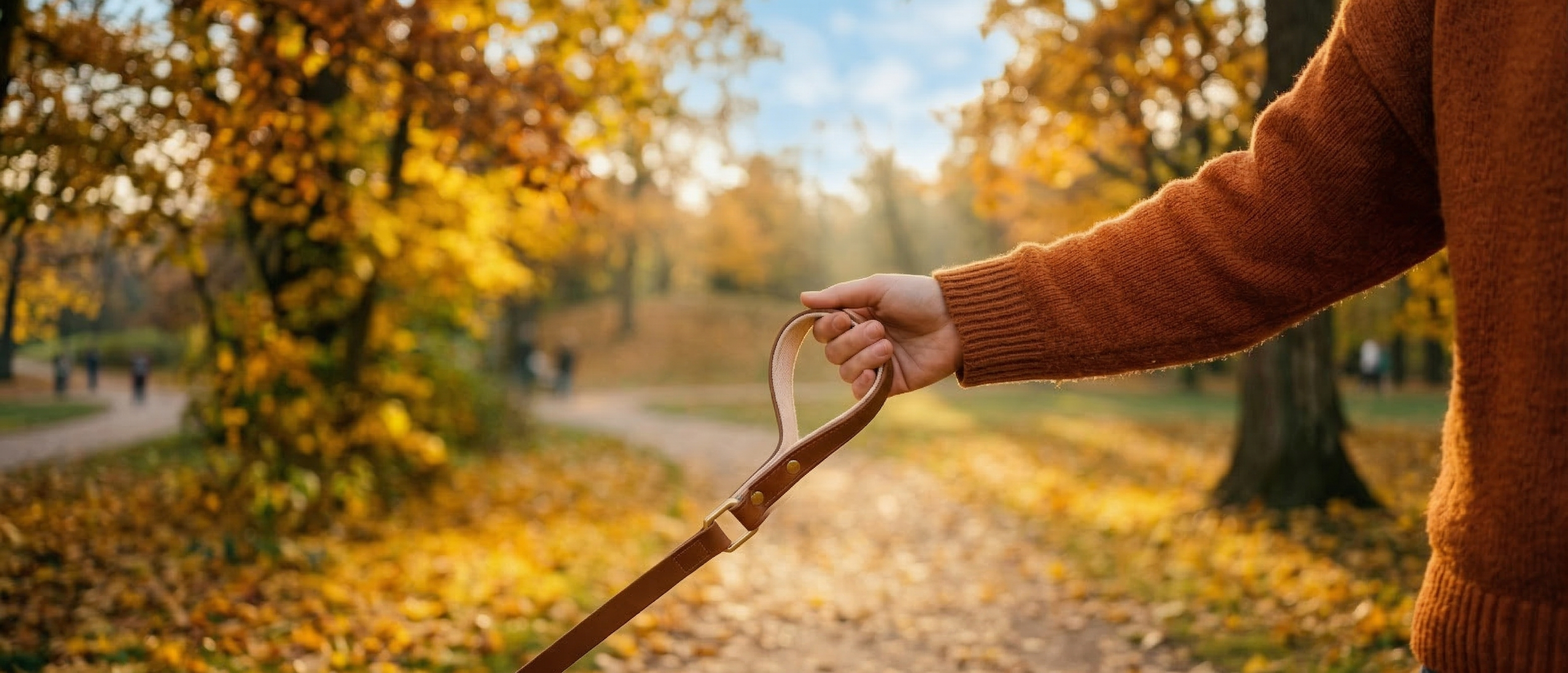 Hand holding a leash on an autumn path